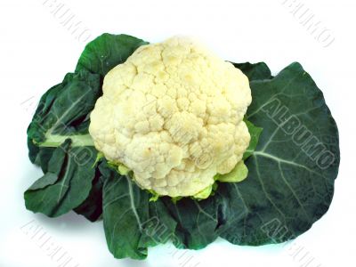 Cauliflower