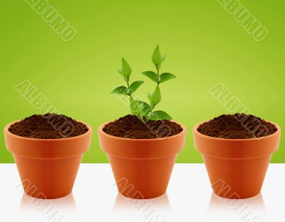 growing concept