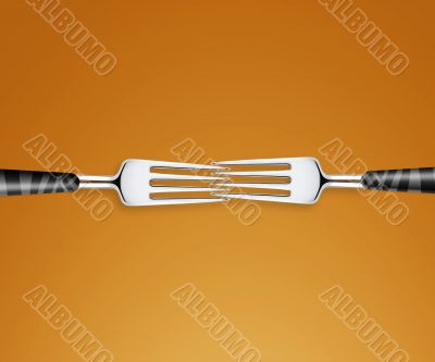 two forks 