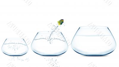 Anglefish jumping to Big bowl