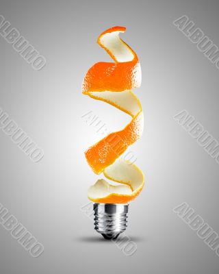 light bulb concept