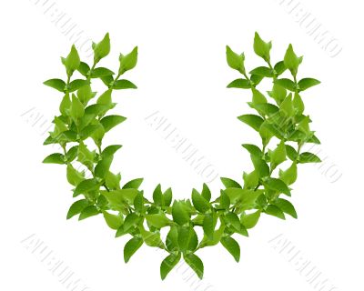 Wreath from Green leaves