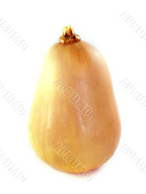 butternut squash
