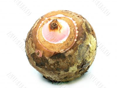 Taro Root 