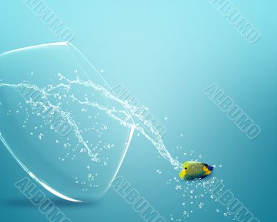 angelfish jumping out of  fishbowl