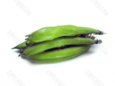 broad beans