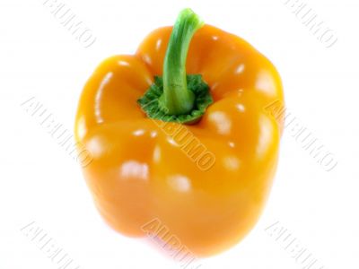 Orange bell pepper 