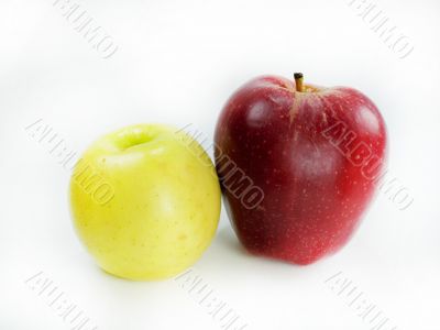 fresh apple