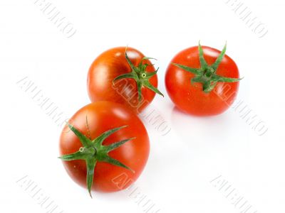 Red tomatoes