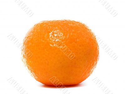 Fresh Clementine