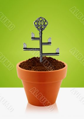 Tree key
