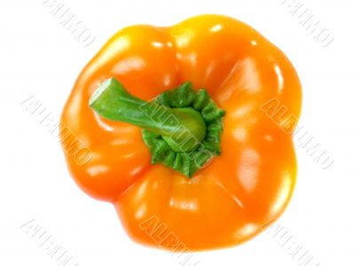 Orange Bell pepper
