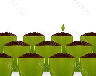 growing concept