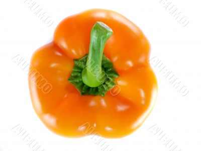 Orange bell pepper 