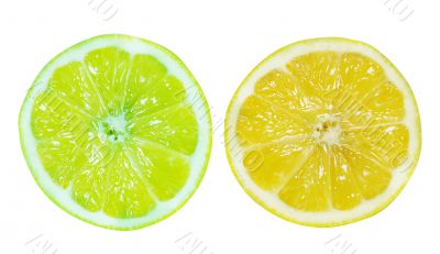 Fresh slice of Lemon