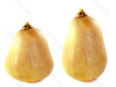 butternut squash