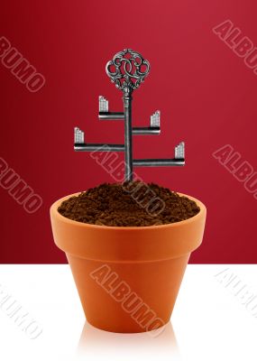 Tree key