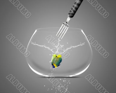 Fork catch angelfish in fishbowl 