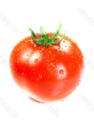 Red tomatoes