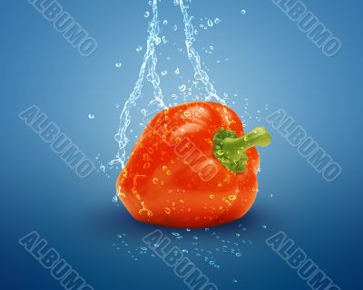 Fresh red bell pepper