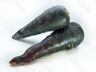 fresh black carrots 