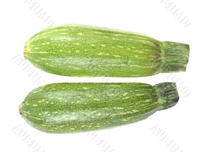 fresh zucchini fruits