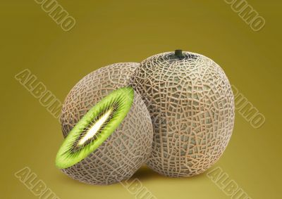 Melon and kiwi inside