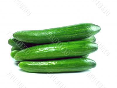 Fresh Cucumber