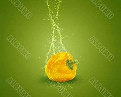Fresh yellow bell pepper