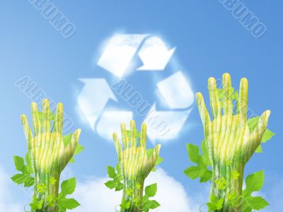 ecology concept