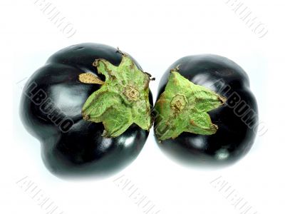 Fresh eggplant