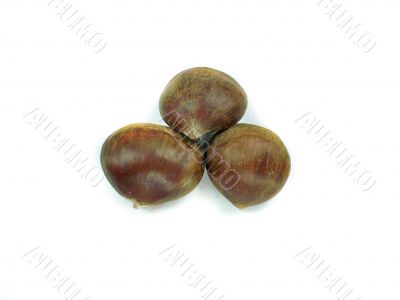 chestnuts 
