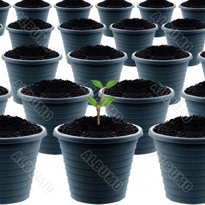 plastic garden pot 
