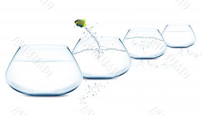 Anglefish jumping to Big bowl