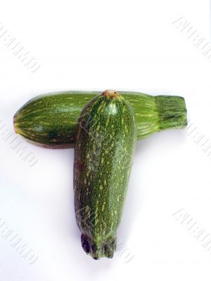 fresh zucchini