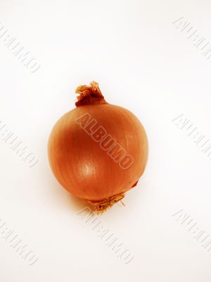 onion