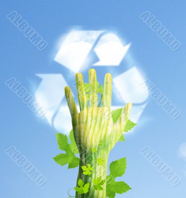 ecology concept