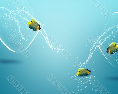 angelfish jumping out of  fishbowl