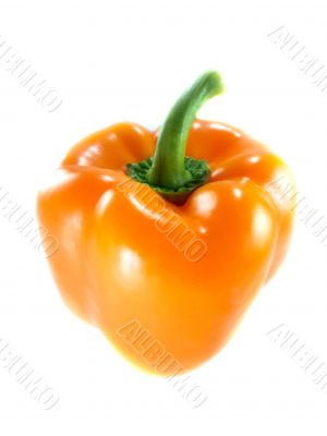 Orange bell pepper 