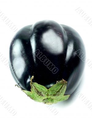 big eggplant