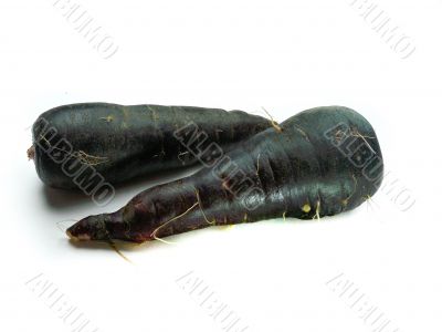 fresh black carrots