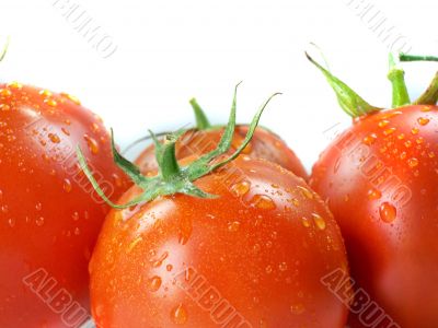 Red tomatoes