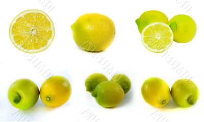 Fresh Lemon