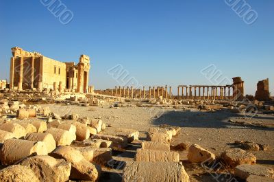 Relics of Palmyra in Syria