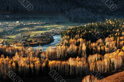 Village with golden trees in autumn