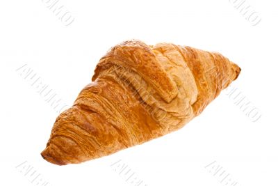 croissant, white background.