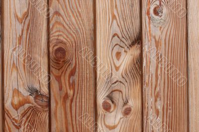 Pine wooden