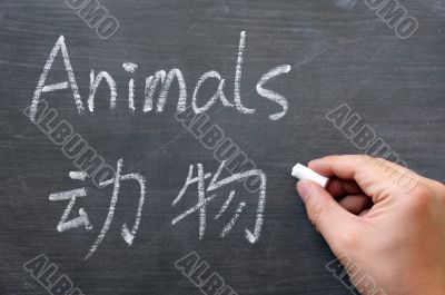 Animals - word written on a smudged blackboard