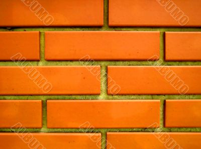 brick wall