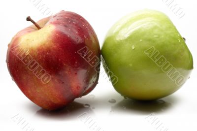apple on a white background